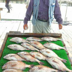 海の釣堀 海恵 釣果