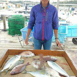 海の釣堀 海恵 釣果