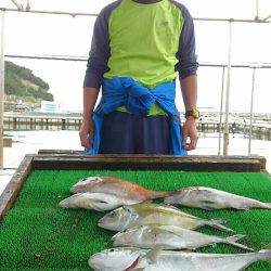 海の釣堀 海恵 釣果