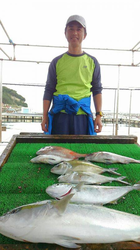 海の釣堀 海恵 釣果