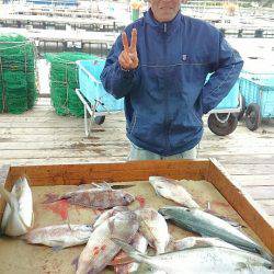 海の釣堀 海恵 釣果