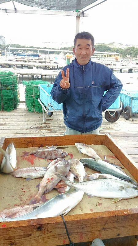 海の釣堀 海恵 釣果