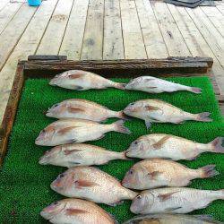 海の釣堀 海恵 釣果