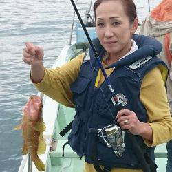 あみや渡船 JIGBOY 釣果