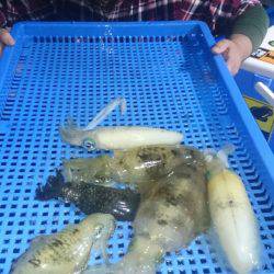 第三共栄丸 釣果