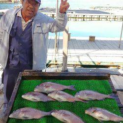 海の釣堀 海恵 釣果