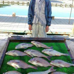 海の釣堀 海恵 釣果