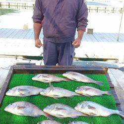 海の釣堀 海恵 釣果