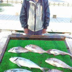 海の釣堀 海恵 釣果