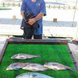 海の釣堀 海恵 釣果