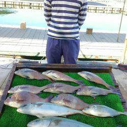 海の釣堀 海恵 釣果