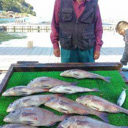 海の釣堀 海恵 釣果