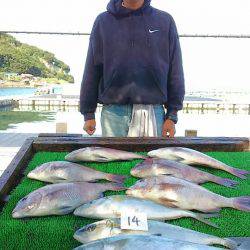 海の釣堀 海恵 釣果