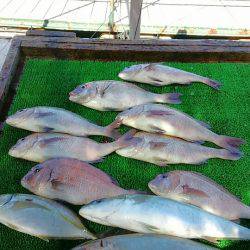 海の釣堀 海恵 釣果