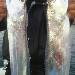 サンマリン 釣果