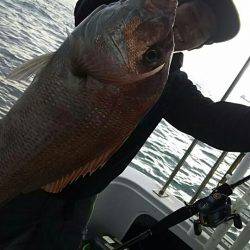 タイラバ遊漁船 ワンピース 釣果