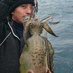 あみや渡船 JIGBOY 釣果