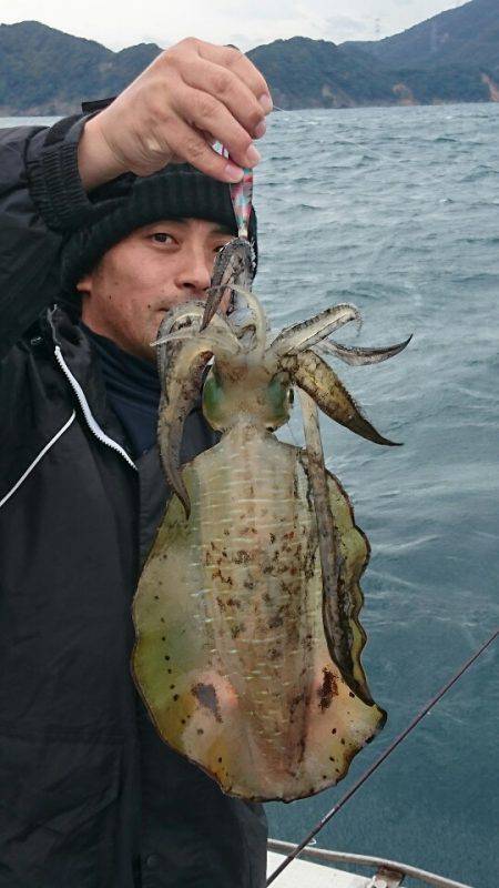 あみや渡船 JIGBOY 釣果