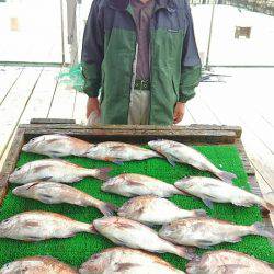 海の釣堀 海恵 釣果