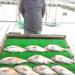 海の釣堀 海恵 釣果