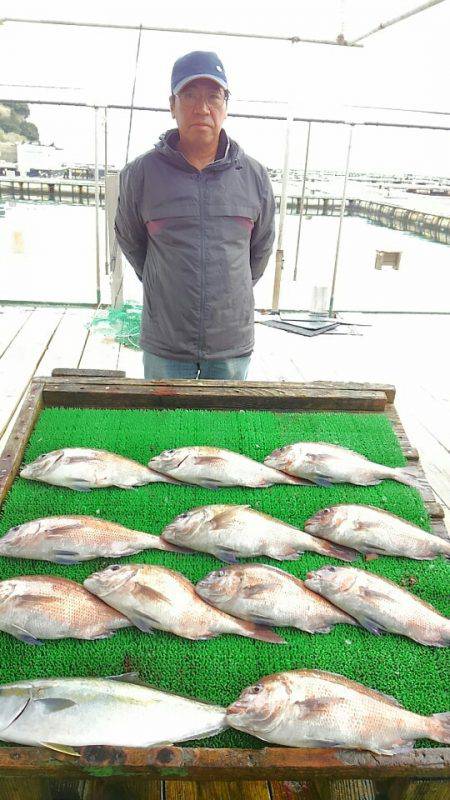海の釣堀 海恵 釣果