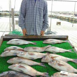 海の釣堀 海恵 釣果