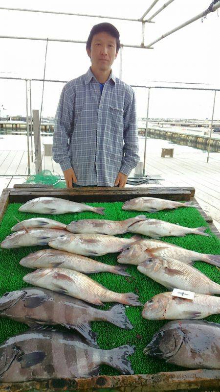 海の釣堀 海恵 釣果