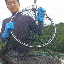 海の釣堀 海恵 釣果