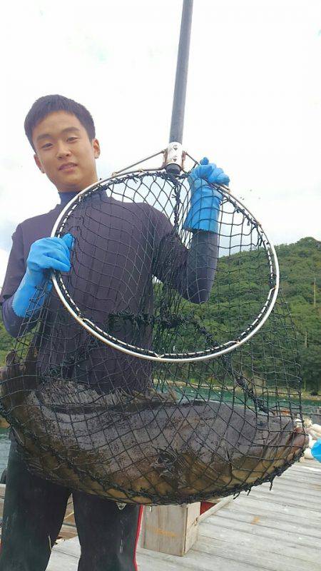 海の釣堀 海恵 釣果