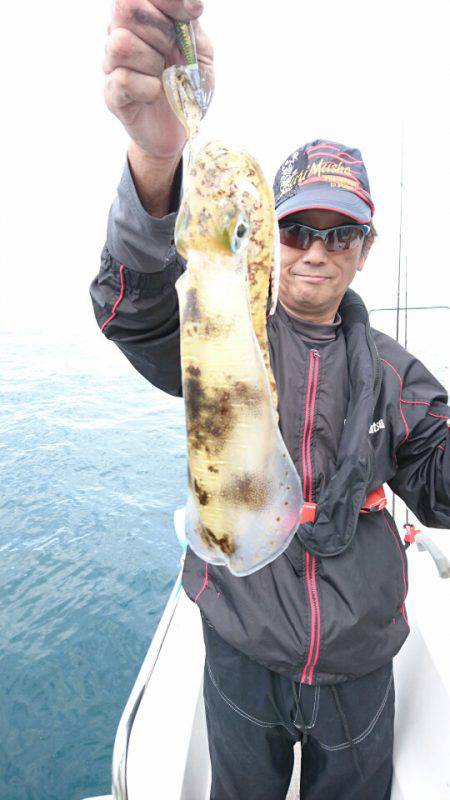 ARCADIAⅡ （アルカディアⅡ） 釣果…