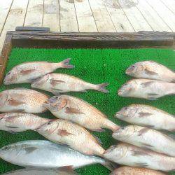海の釣堀 海恵 釣果