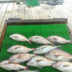 海の釣堀 海恵 釣果