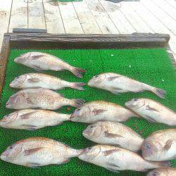 海の釣堀 海恵 釣果