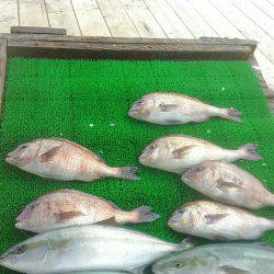 海の釣堀 海恵 釣果