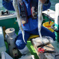 小島丸 釣果