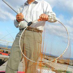 海の釣堀 海恵 釣果