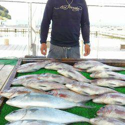 海の釣堀 海恵 釣果