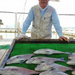 海の釣堀 海恵 釣果