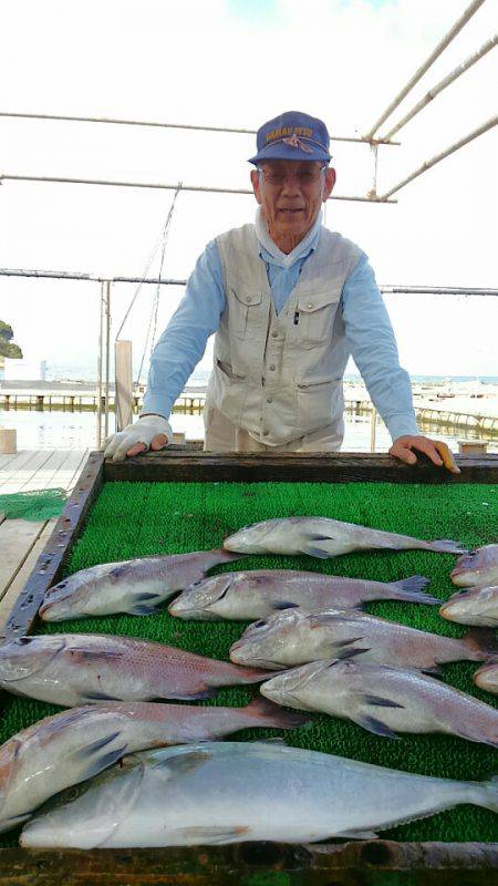 海の釣堀 海恵 釣果