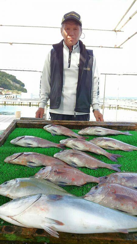 海の釣堀 海恵 釣果