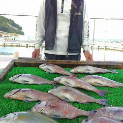 海の釣堀 海恵 釣果