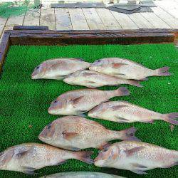 海の釣堀 海恵 釣果