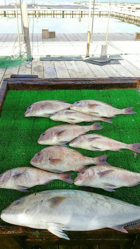 海の釣堀 海恵 釣果