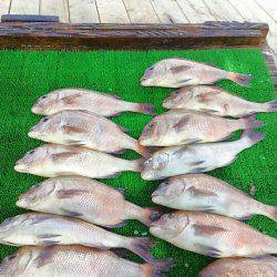 海の釣堀 海恵 釣果