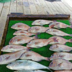 海の釣堀 海恵 釣果