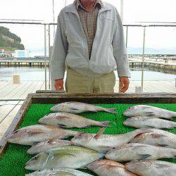 海の釣堀 海恵 釣果