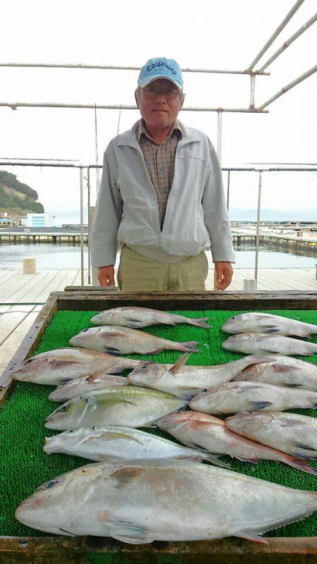 海の釣堀 海恵 釣果