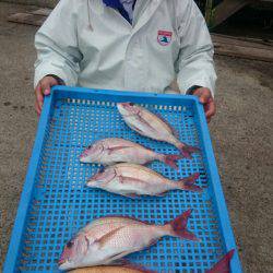 第三共栄丸 釣果