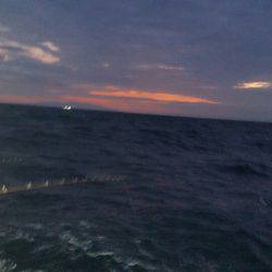 金沢八景鴨下丸 釣果