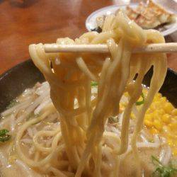 金沢八景鴨下丸 釣果